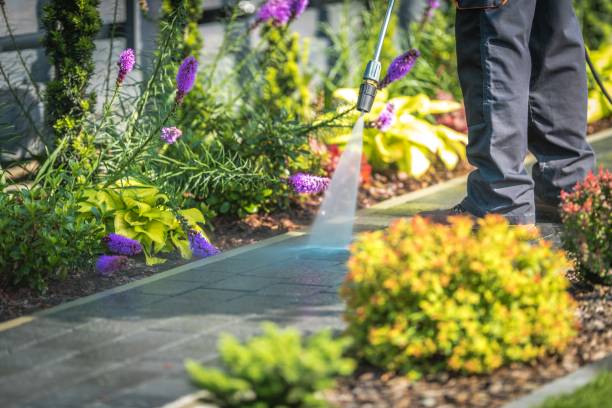 Best Spring Cleaning  in Fowlerville, MI