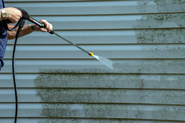 Best Building Exterior Washing  in Fowlerville, MI