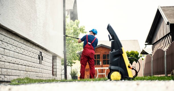 Best Rust Removal  in Fowlerville, MI